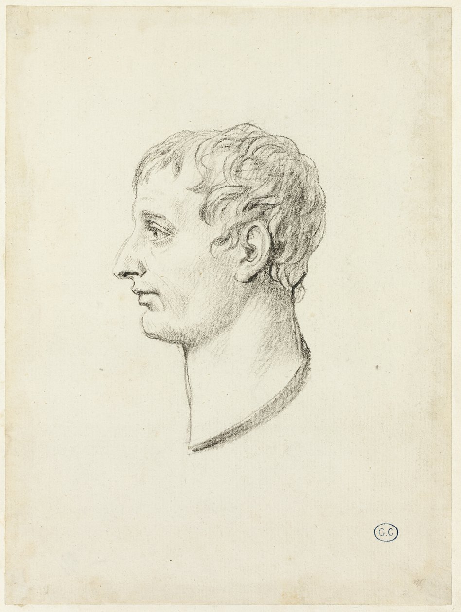 Napoleonin profiili tekijältä Jacques Louis David