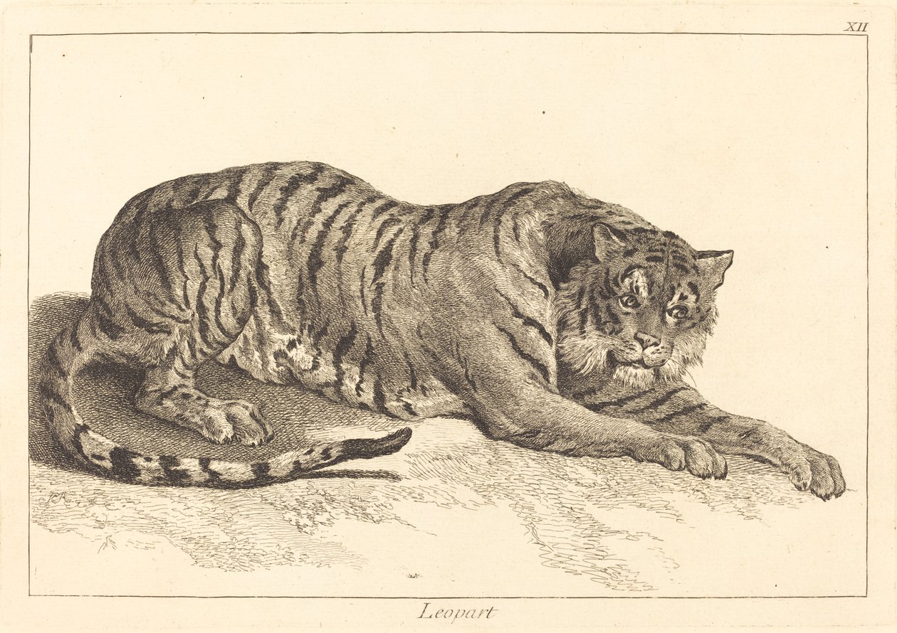 Leopardi (Leopardi tai tiikeri) tekijältä Jacques Philippe Le Bas and Jean Eric Rehn after Jean Baptiste Oudry