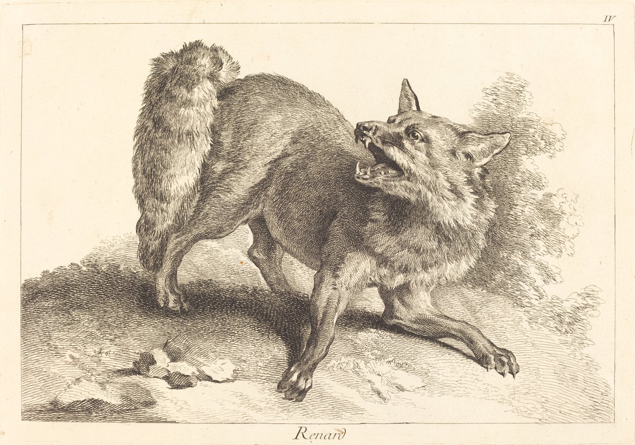 Renard (kettu) tekijältä Jacques Philippe Le Bas and Jean Eric Rehn after Jean Baptiste Oudry