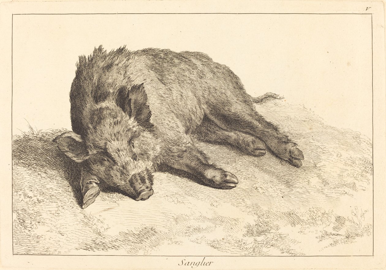 Sanglier (Wild Boar Lying Down, Head to the Left) tekijältä Jacques Philippe Le Bas and Jean Eric Rehn after Jean Baptiste Oudry