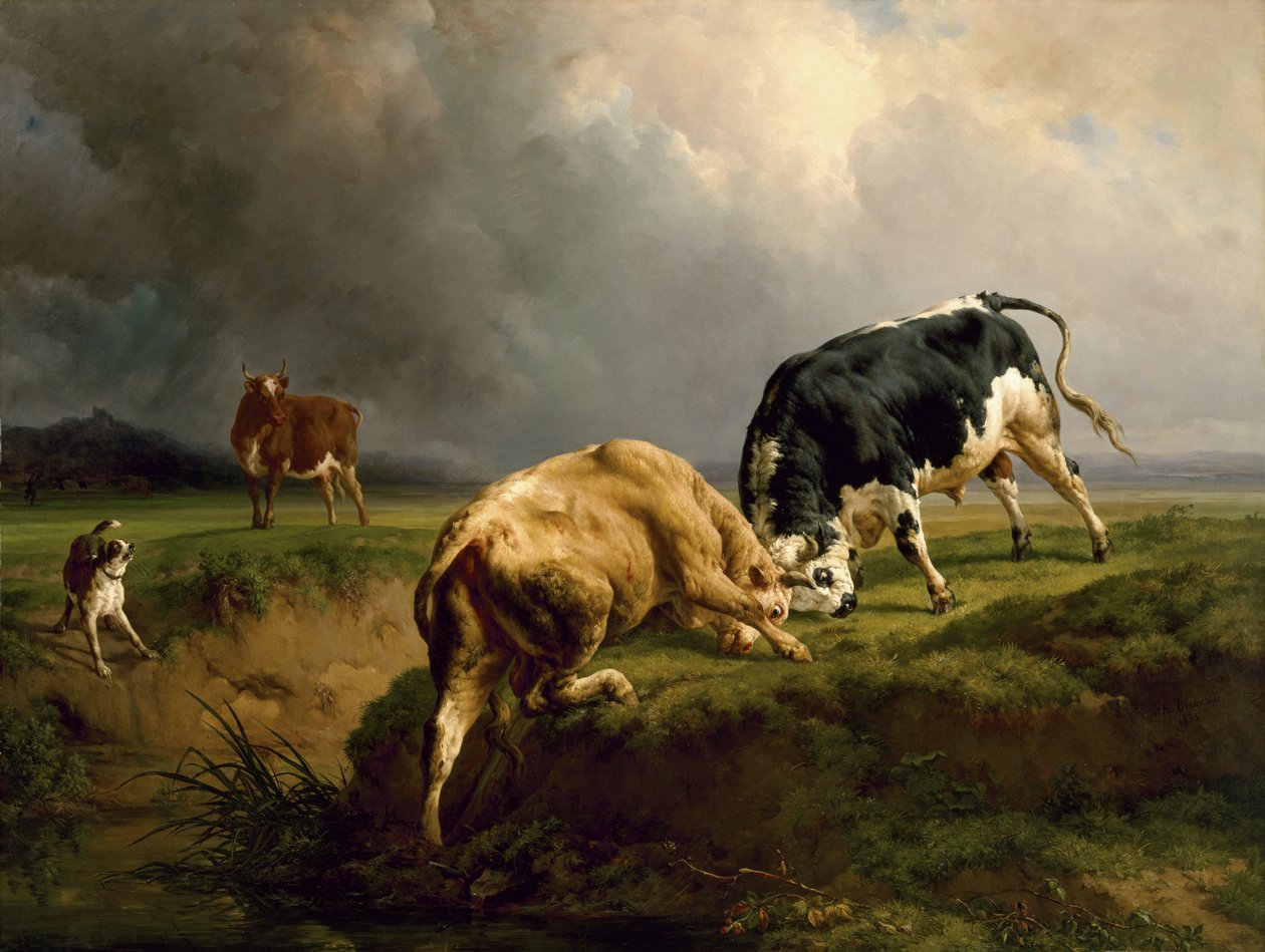 Härkätaistelu, 1855 tekijältä Jacques Raymond Brascassat
