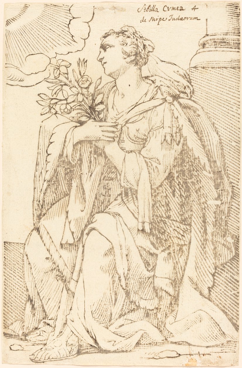Sibylla Cimmeria tekijältä Jacques Stella