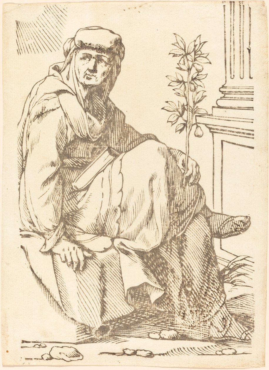 Sibylla Hellespontina tekijältä Jacques Stella