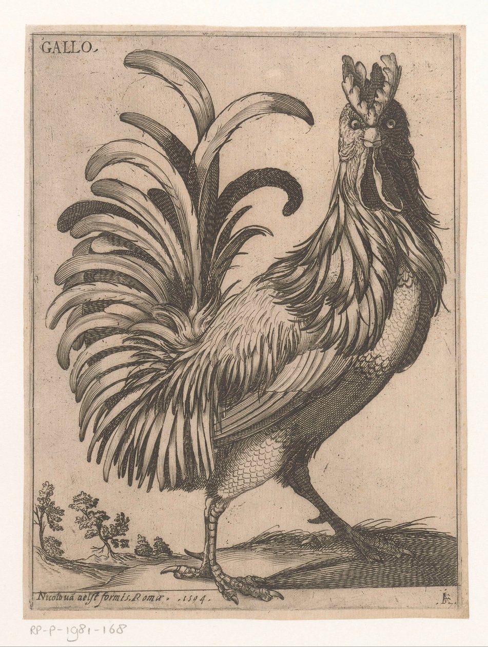 kukko Gallo (otsikko esineessä) Nine Birds (sarjan nimi) tekijältä Jacques de Fornazeris
