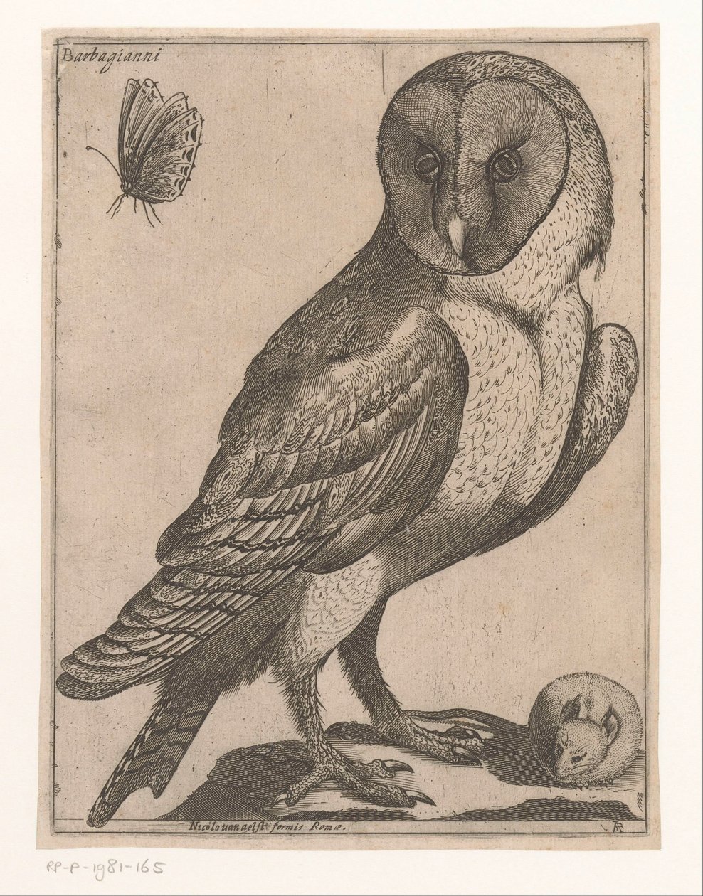pöllö Barbagianni (otsikko esineessä) Nine Birds (sarjan nimi) tekijältä Jacques de Fornazeris