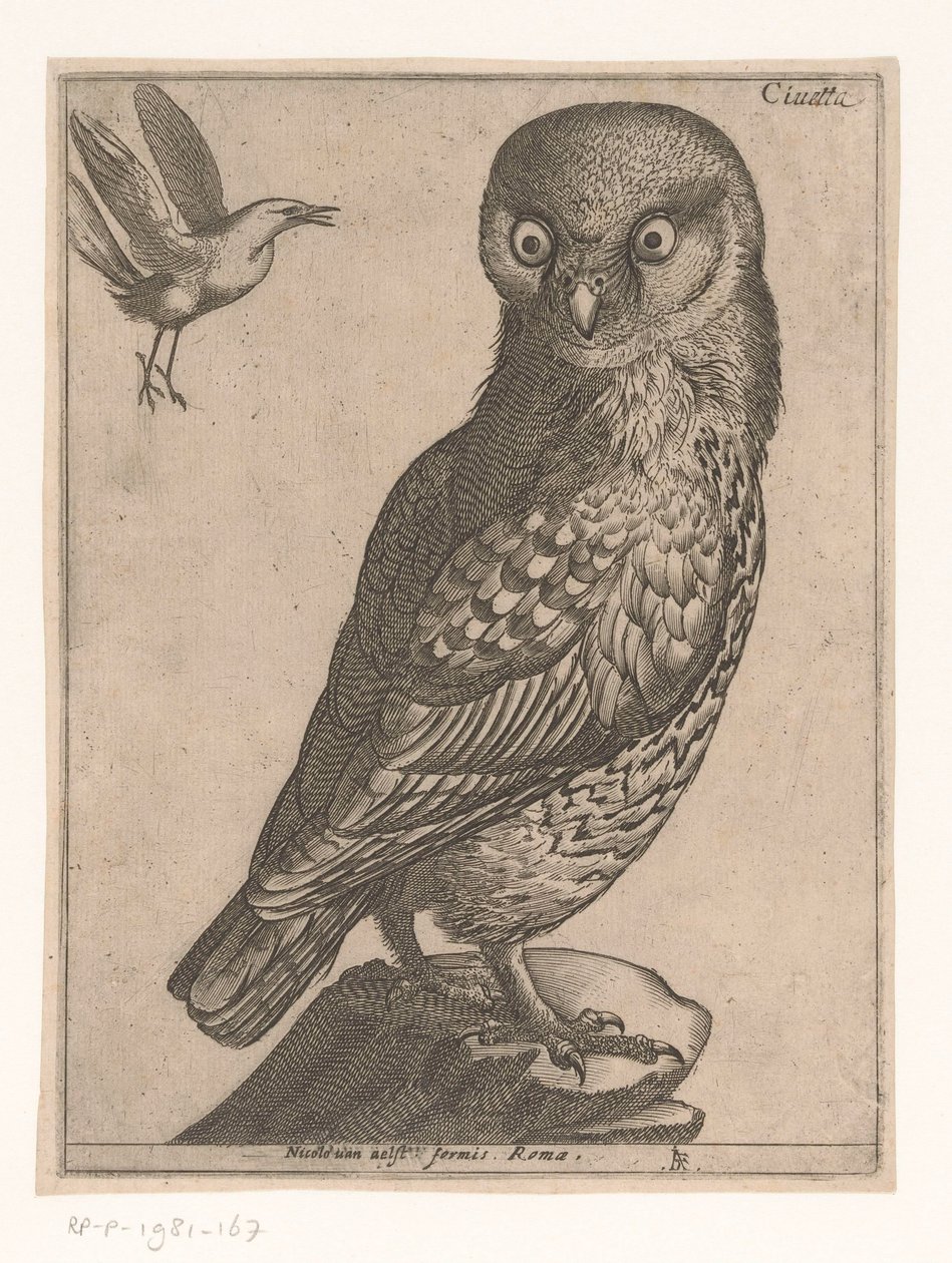 pieni pöllö Civetta (otsikko esineessä) Nine Birds (sarjan nimi) tekijältä Jacques de Fornazeris