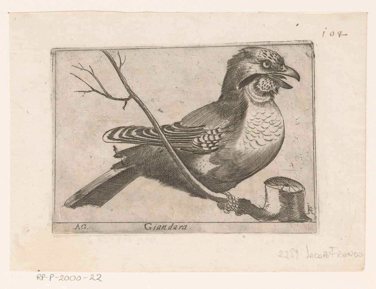 Jay (Garrulus glandarius) Giandara (otsikko esineessä) Linnut (sarjan nimi) tekijältä Jacques de Fornazeris