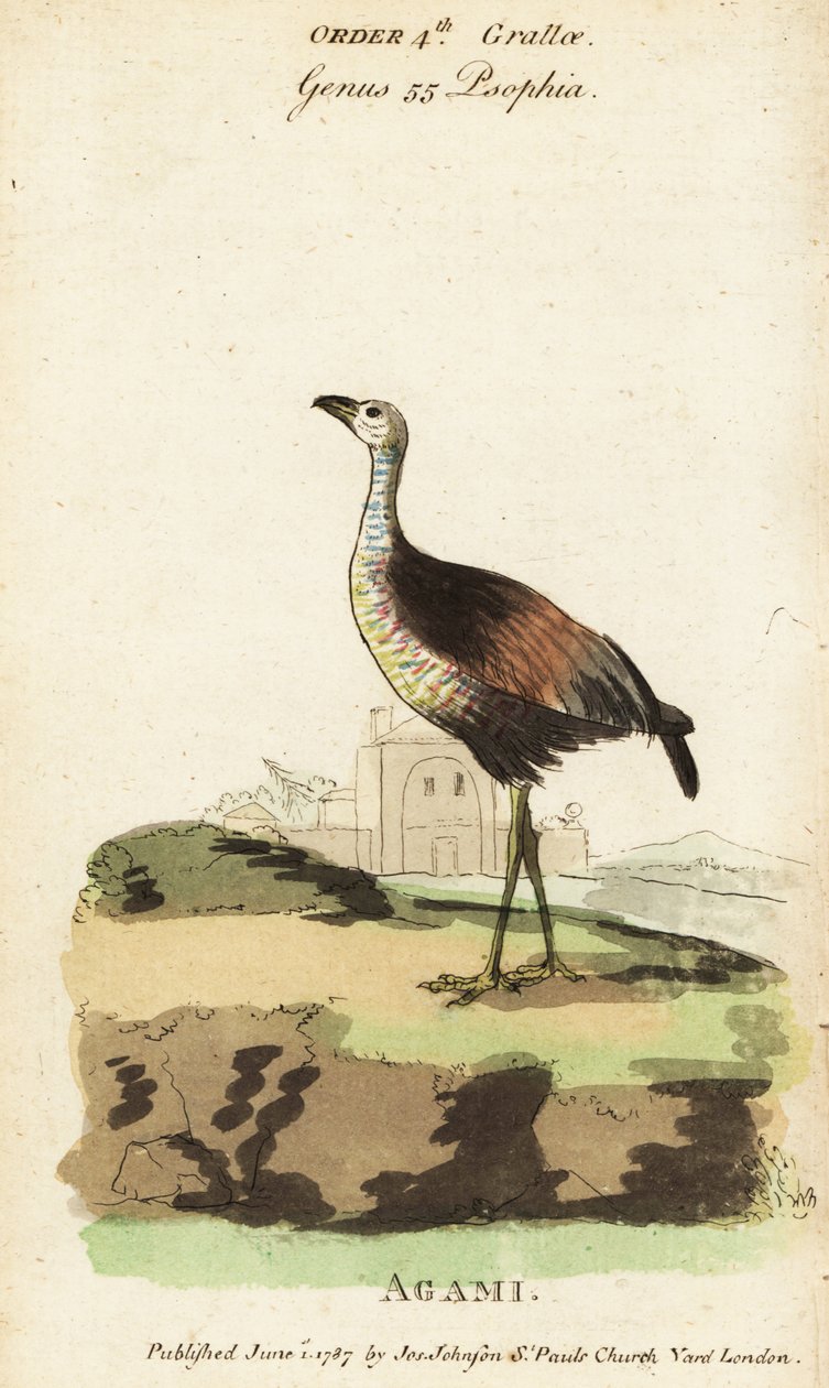 Seuraava on Heron, seuraava on seuraava tekijältä Jacques de Seve