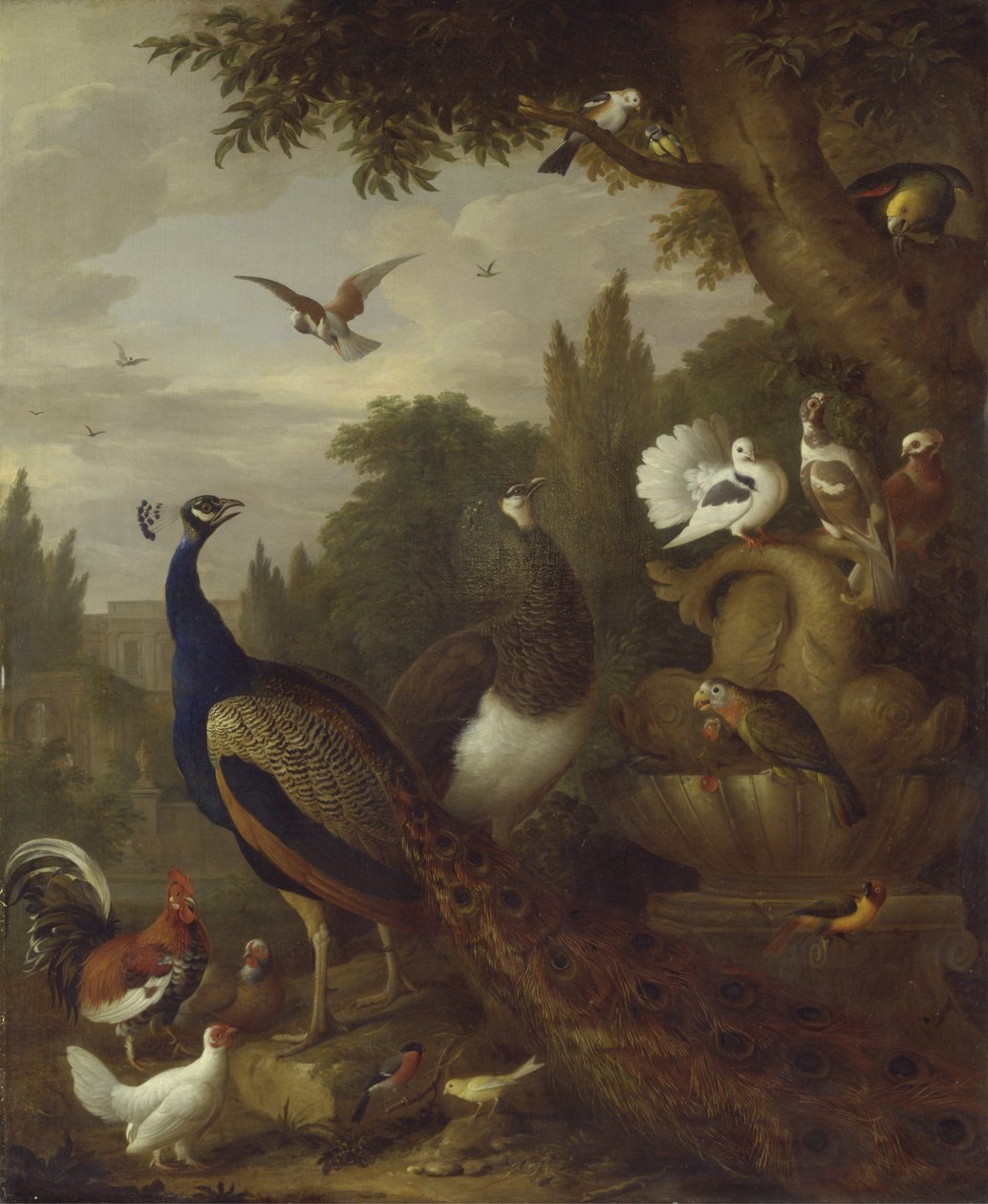 Riikinkukko, herne, papukaijat, kanarialintu ja muut linnut puistossa, n. 1708-10 tekijältä Jakob Bogdani or Bogdany