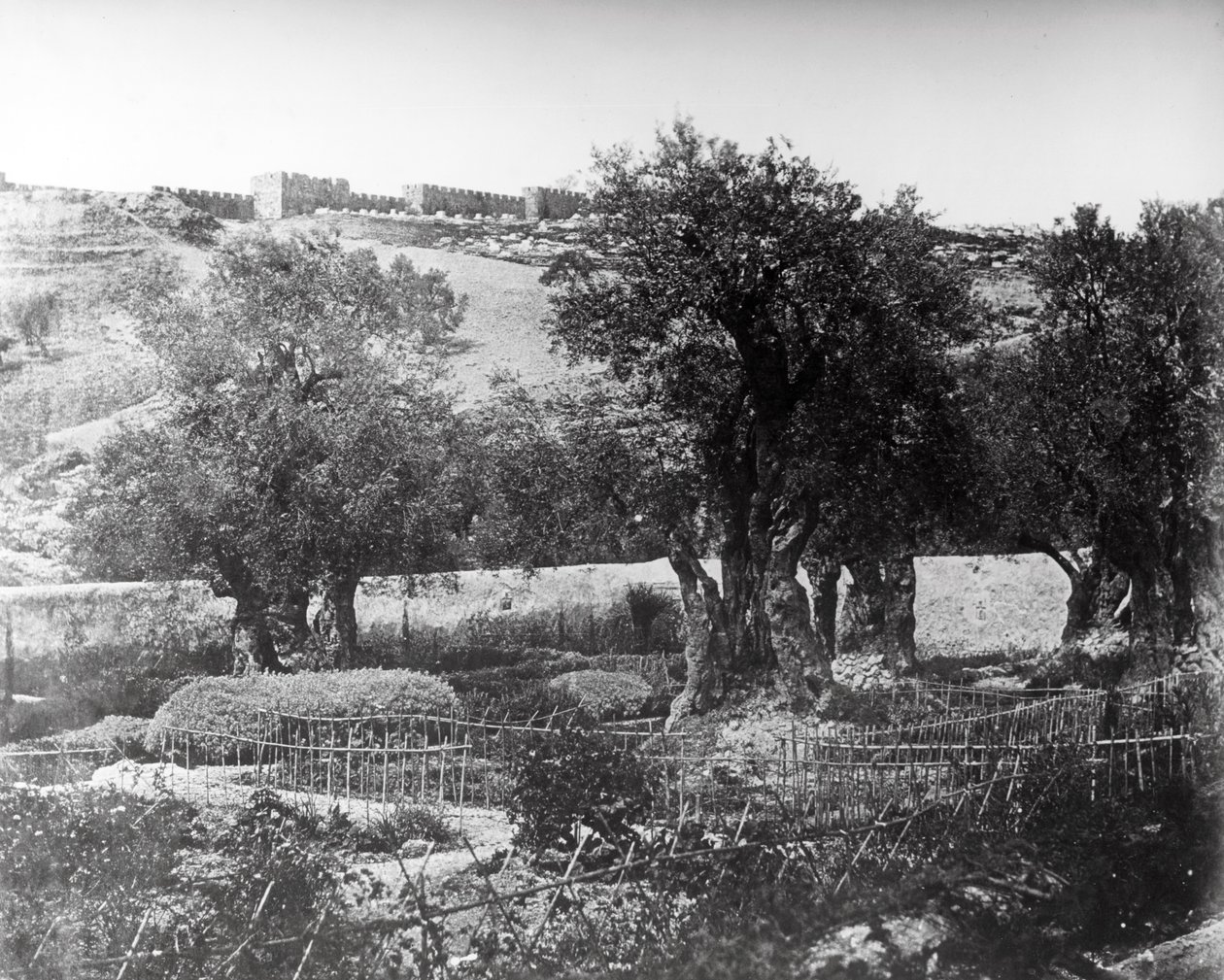 Getsemane, 1857 tekijältä Felice Beato