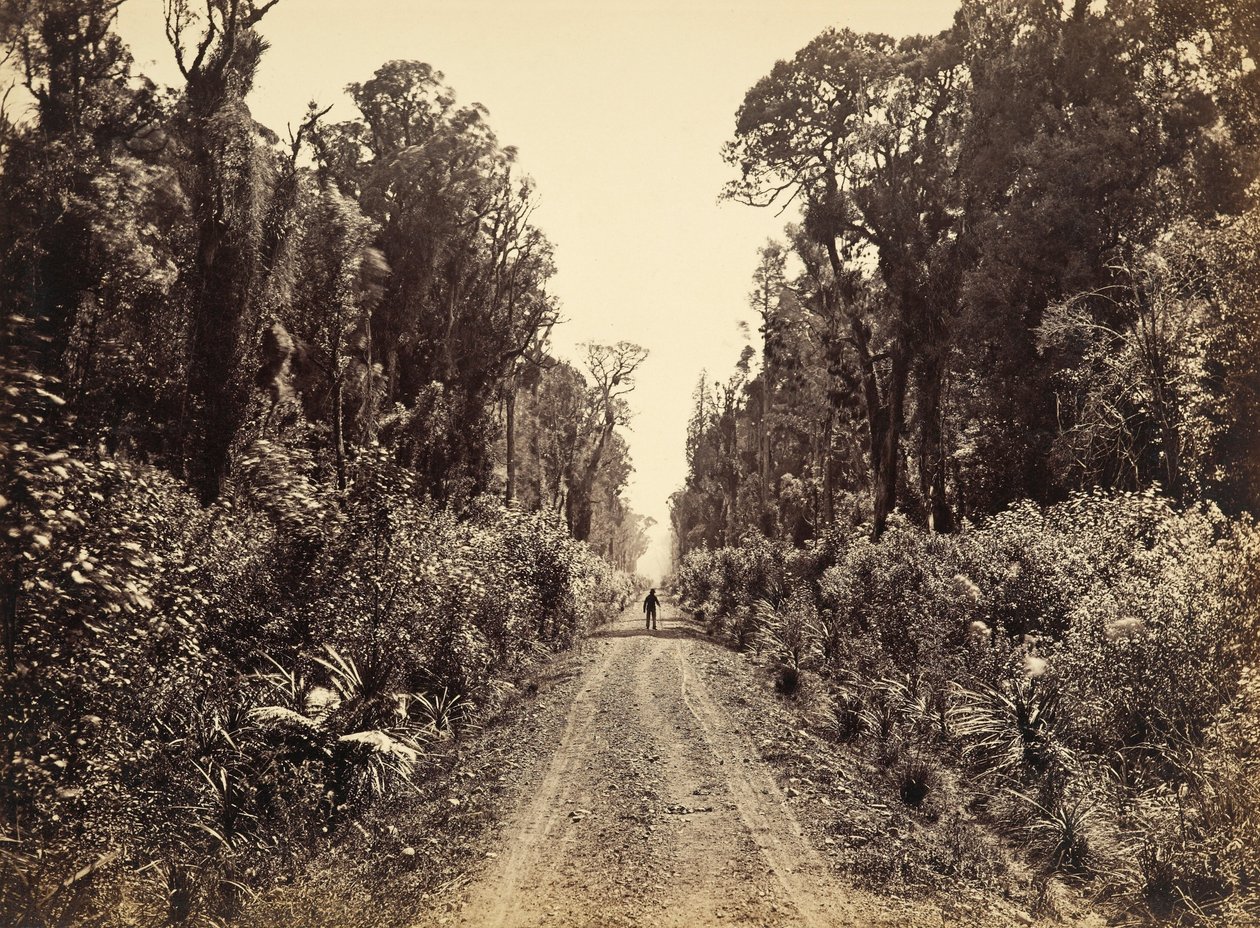 Five Mile Avenue, Forty Mile Bush tekijältä James Bragge