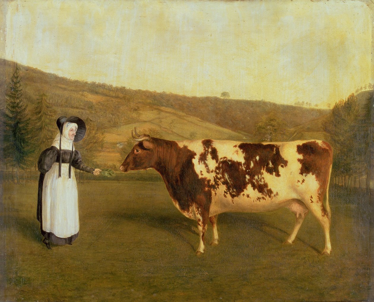 Shorthorn Cow, n. 1840-50 tekijältä James Flewitt Mullock