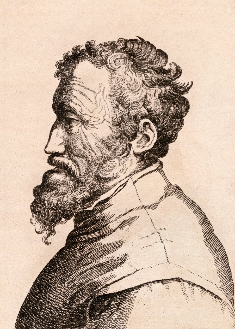 Michelangelo di Lodovico Buonarroti Simoni, kuvitus teoksesta "75 Portraits of Celebred Painters From Authentic Originals", julkaistu Lontoossa, 1817 tekijältä James Girtin