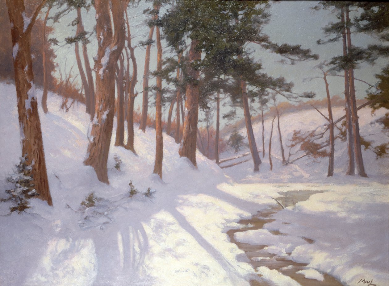 Talvimetsä, jossa puro tekijältä James MacLaren
