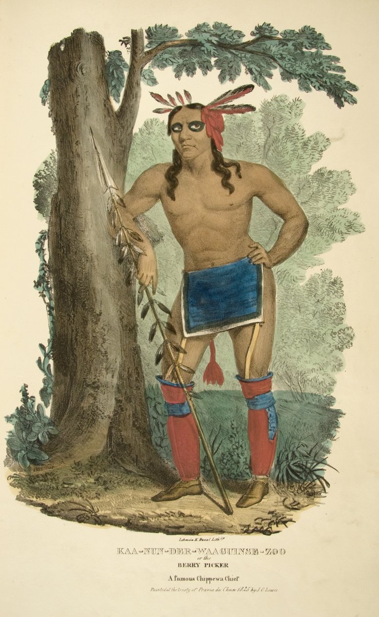 Kaa-nun-der-waaguinse-eläintarha tai marjanpoimija tekijältä James Otto Lewis