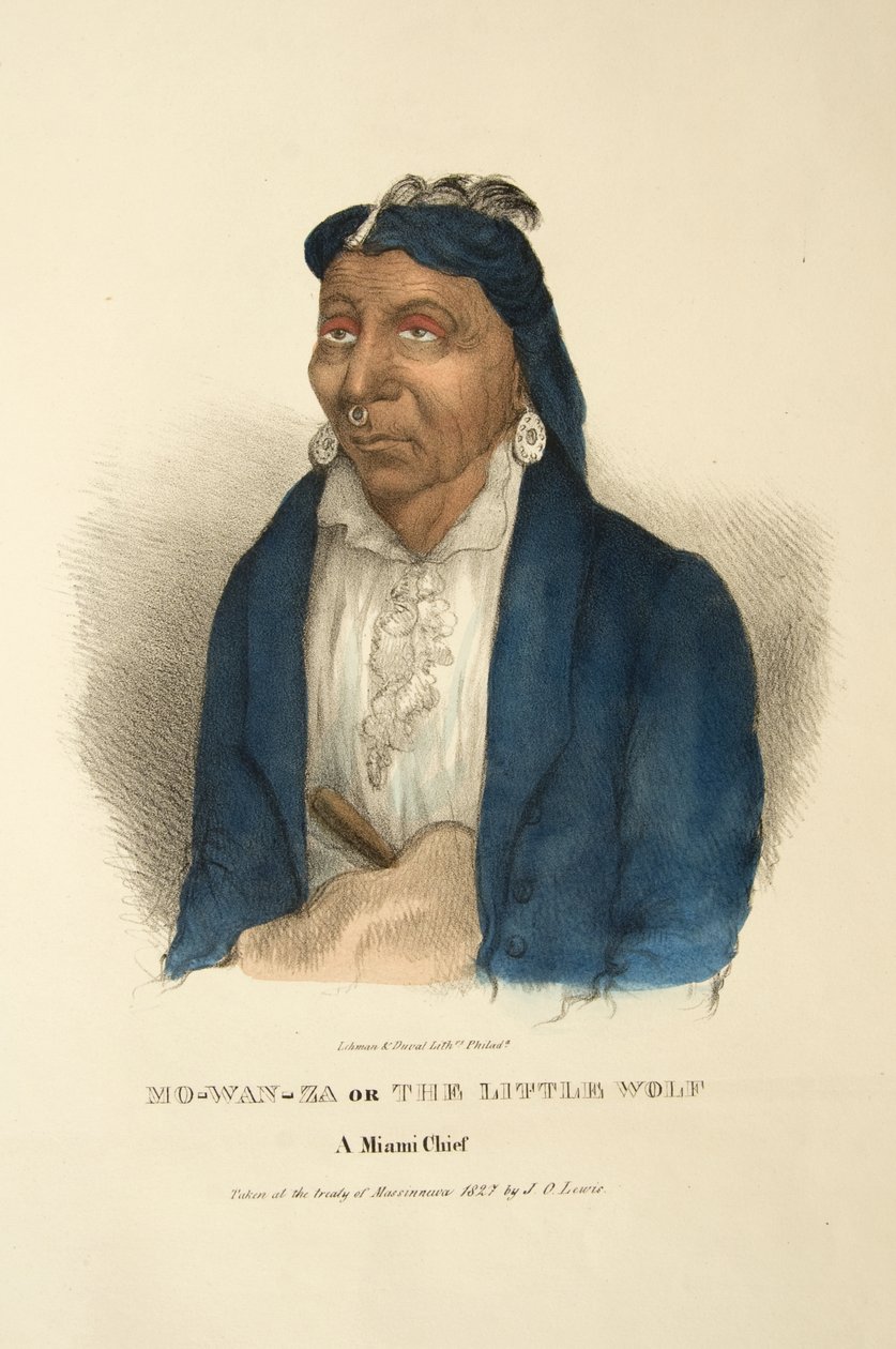 Mo-wan-za tai Pieni susi tekijältä James Otto Lewis