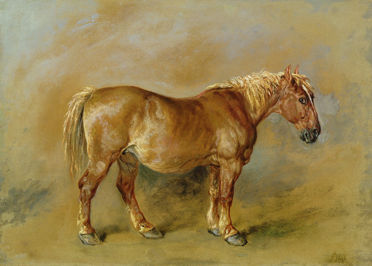 Suffolk Punch (öljy kankaalle asetettu paperille) tekijältä James Ward
