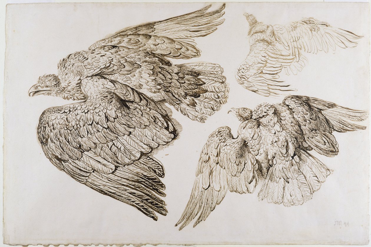 Eagles (kynä ja ruskea muste paperille) tekijältä James Ward