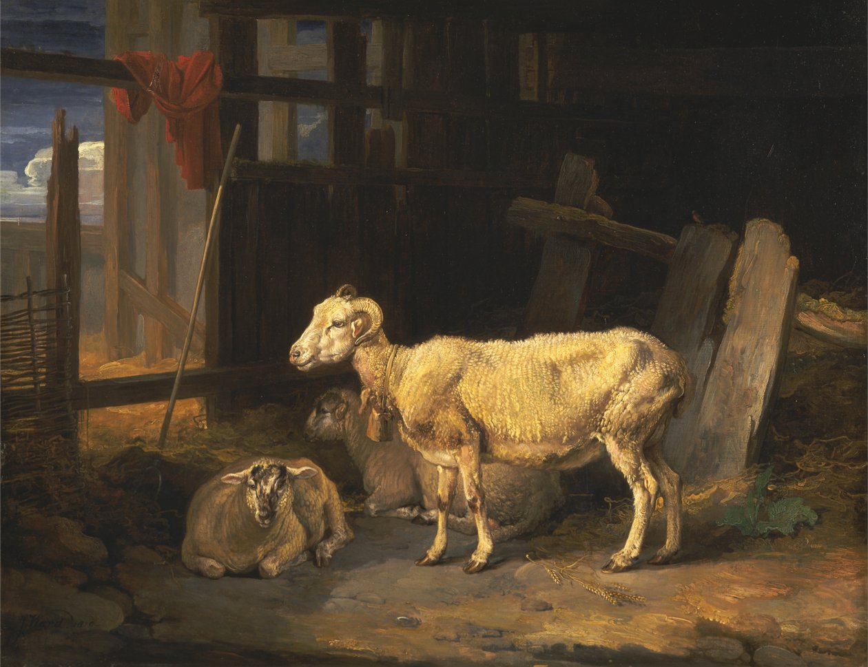Heath Ewe ja lampaat tekijältä James Ward