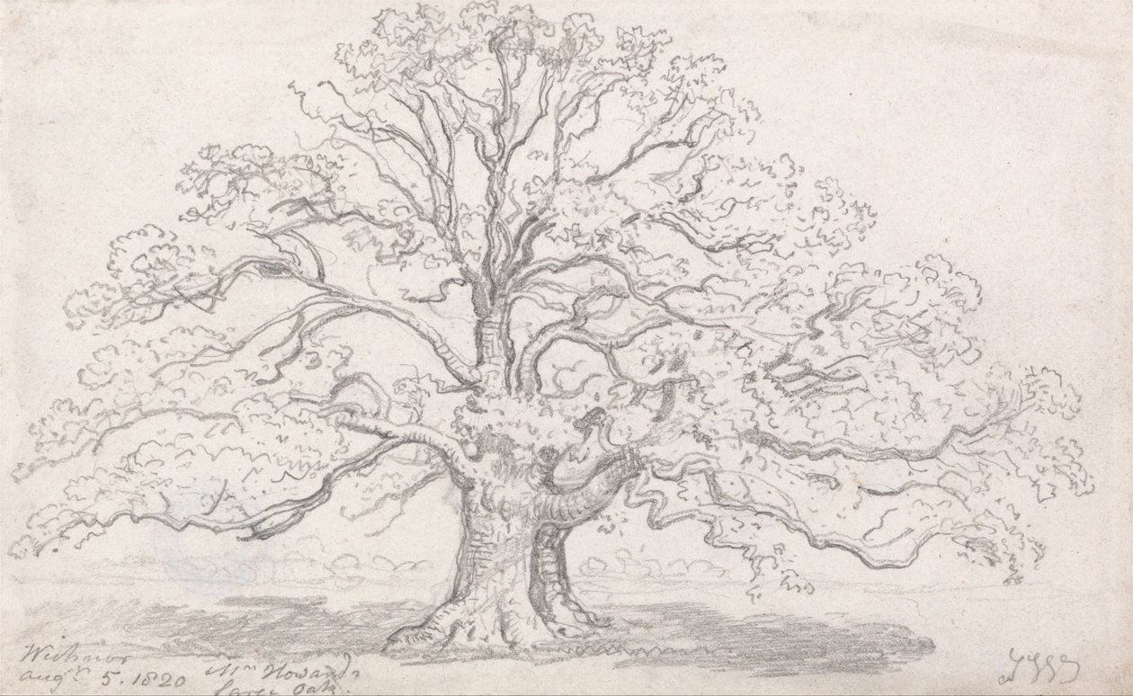 Howards Large Oak, 5. elokuuta 1820 tekijältä James Ward