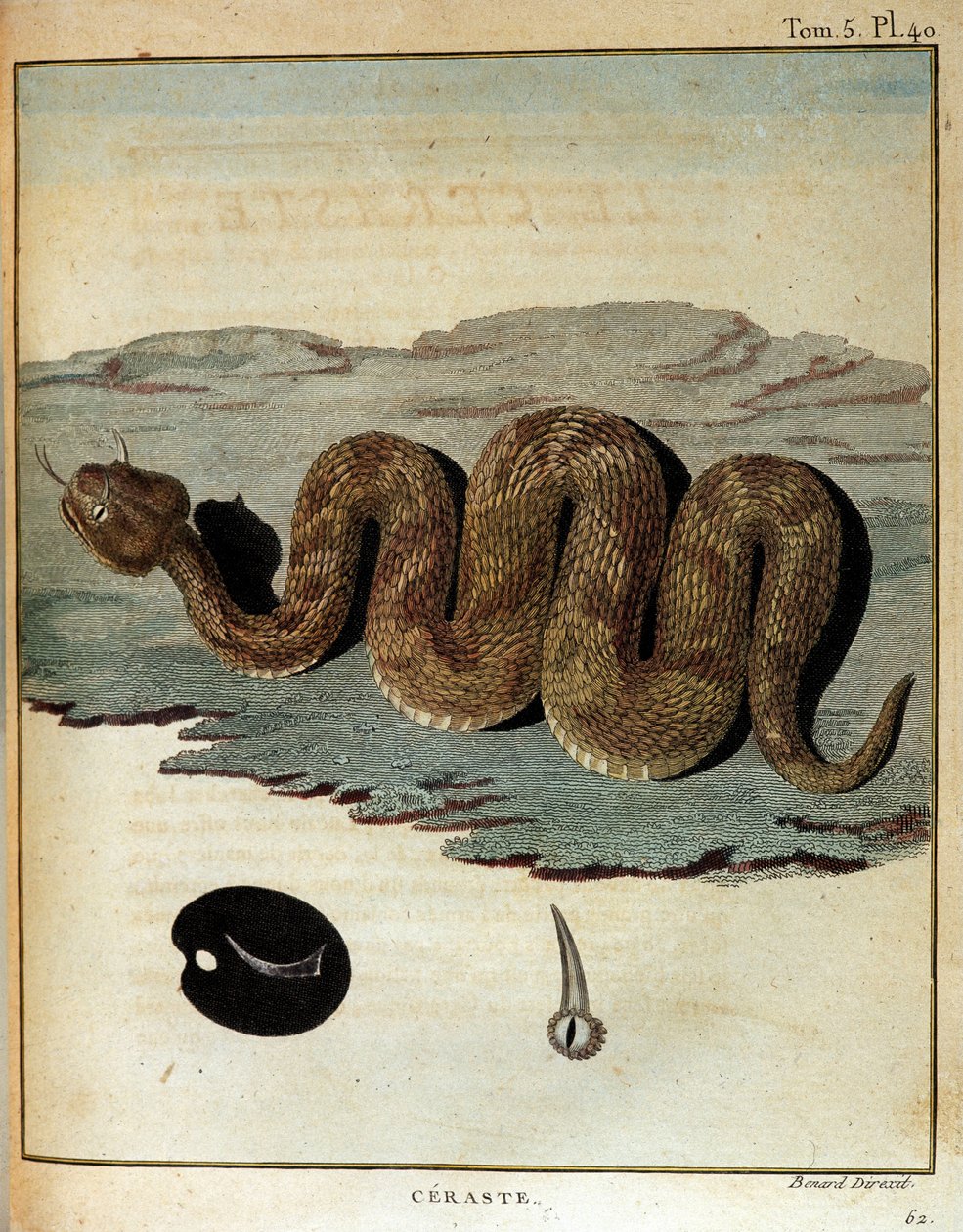 Käärme - "" Matka Nubiaan ja Abessiniaan, joka ryhtyi löytämään Niilin lähteitä vuosina 1768-1772", James Bruce, Pariisi tekijältä James Bruce