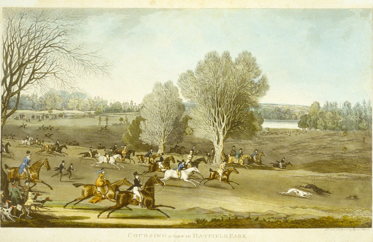 Coursing - Näkymä Hatfield Parkista, kaiverrus James Pollard (1797-1867) (väri litho) (katso myös 266808) tekijältä James (after) Pollard
