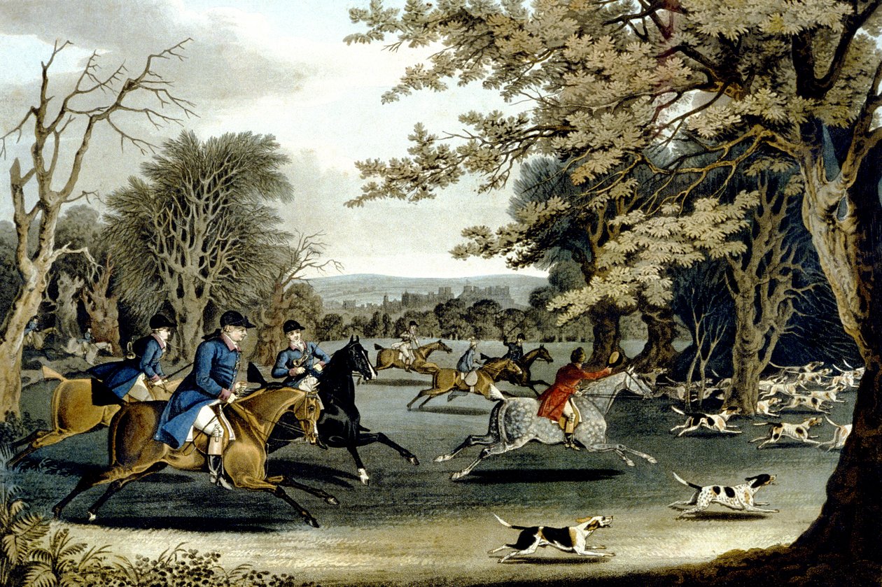 Kuninkaallinen metsästys Windsor Parkissa, kaiverrus Matthew Dubourg (fl.1813-20) 1829 (väri litho) tekijältä James (after) Pollard