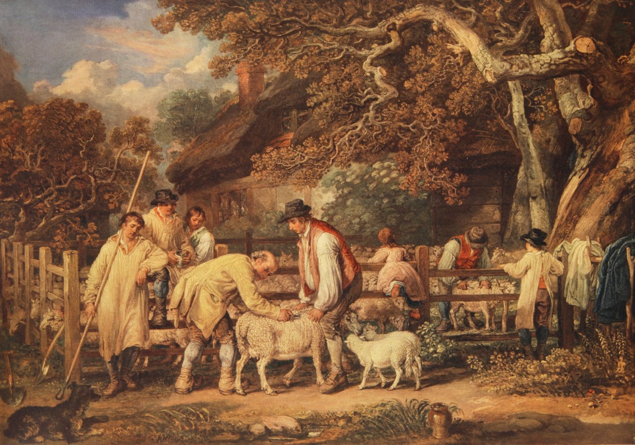 Lampaiden leikkaus, n. 1820 (väri litho) tekijältä James (after) Ward