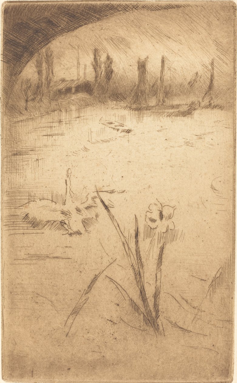 Swan and Iris, julkaistu 1883. tekijältä James Abbott McNeill Whistler
