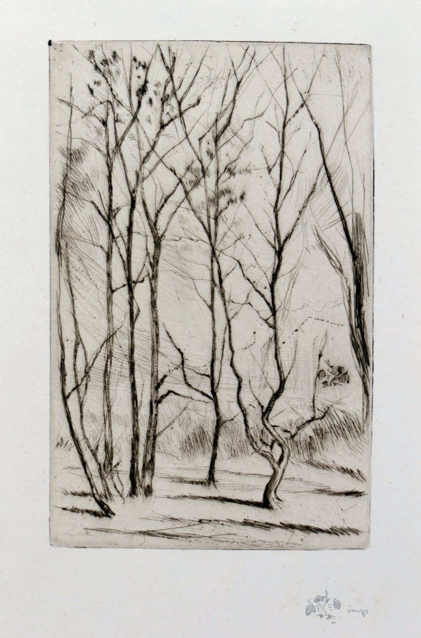 Dam Wood tekijältä James Abbott McNeill Whistler