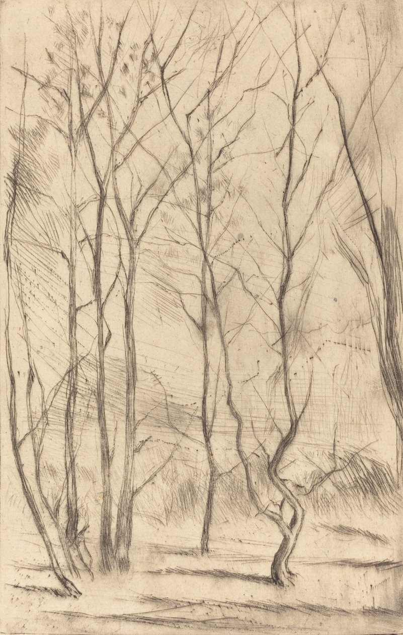 Dam Wood, 1875. tekijältä James Abbott McNeill Whistler