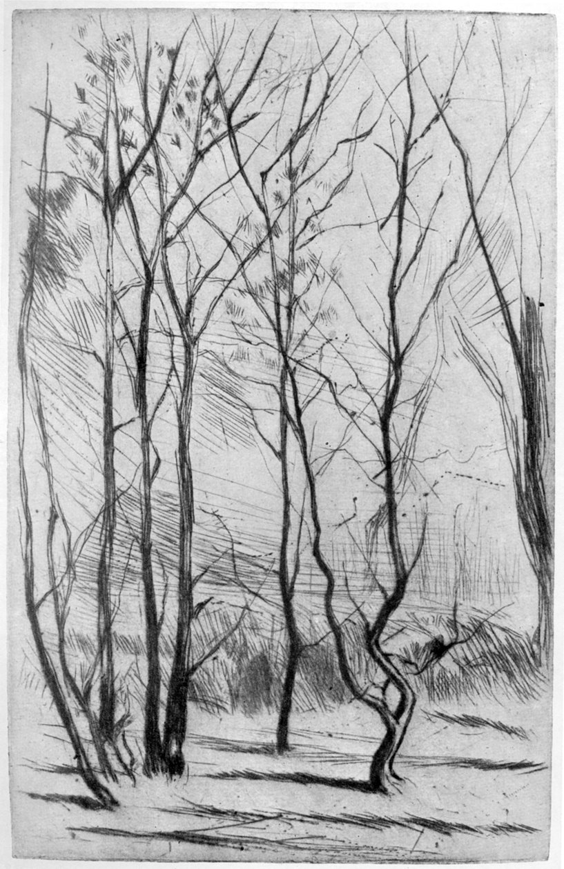Dam Wood, c1875 1904. tekijältä James Abbott McNeill Whistler