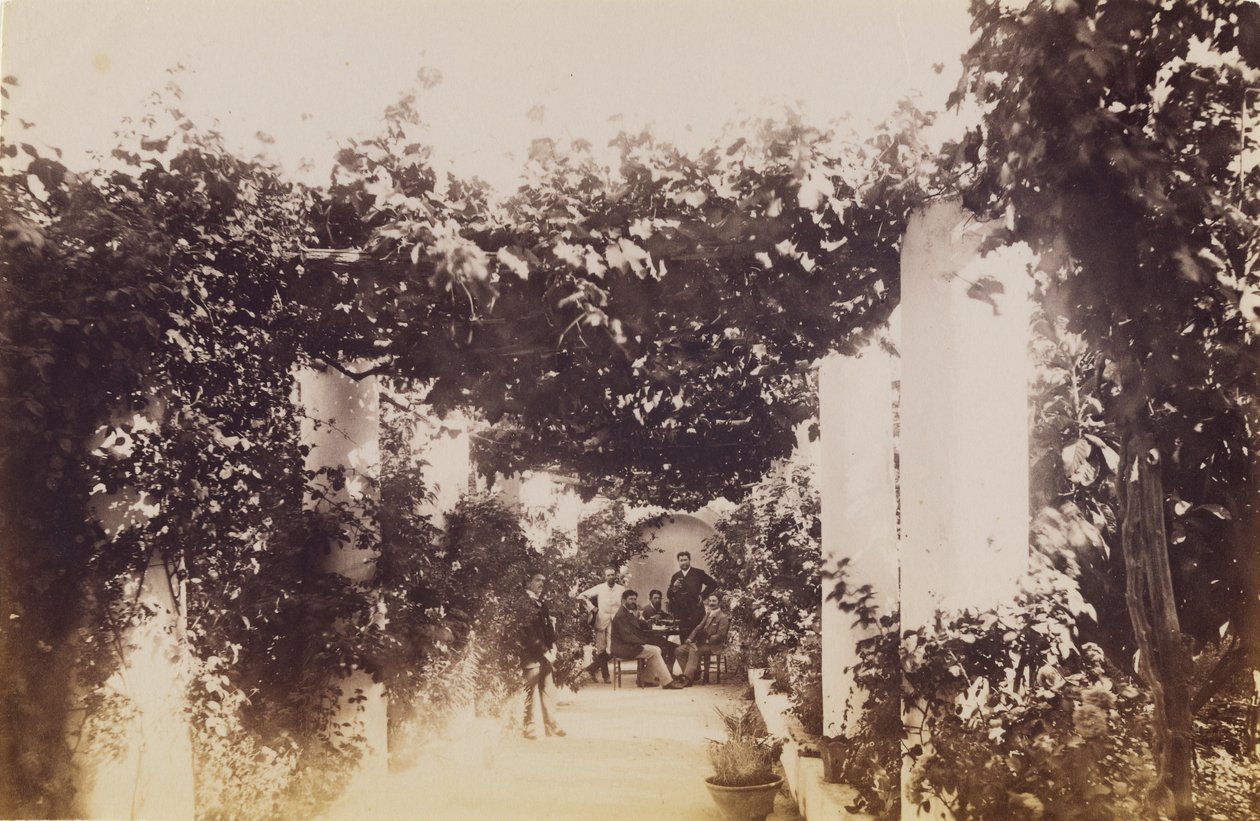 Puutarha - Capri tekijältä James Anderson