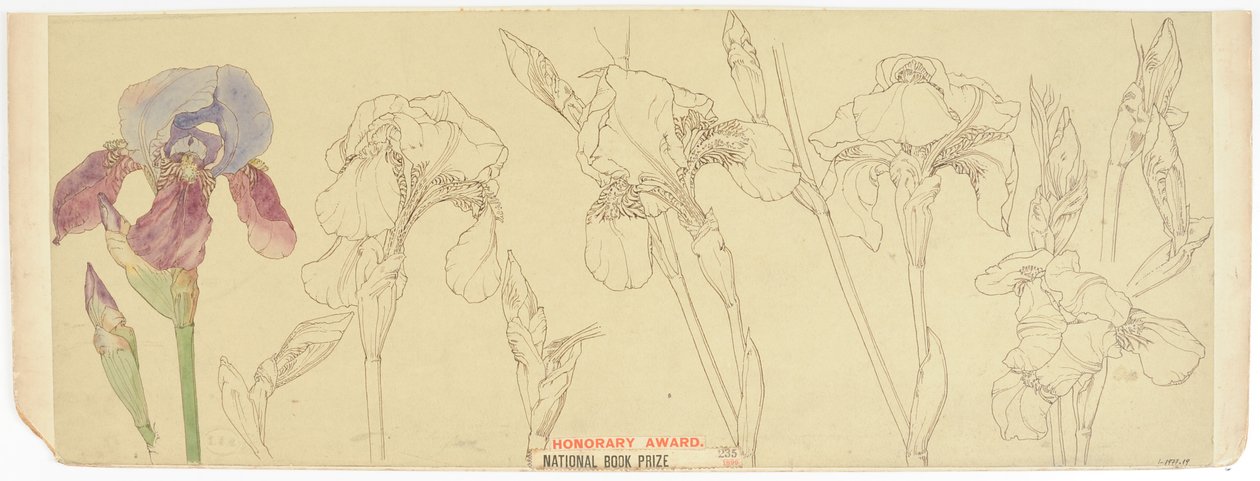 Kasvitieteellinen tutkimus, 1900-30 (wc paperilla) tekijältä James Atherton