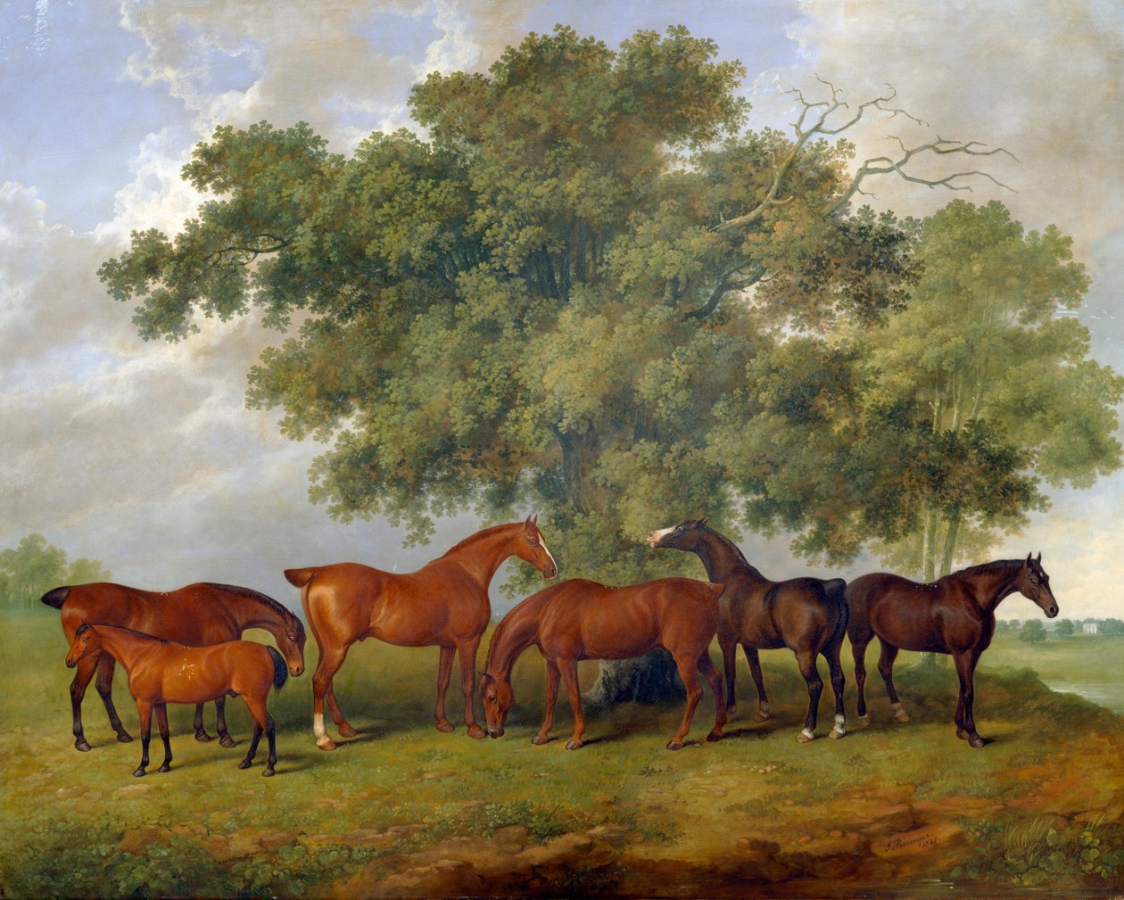 Theobald Stud, 1825 tekijältä James Barenger