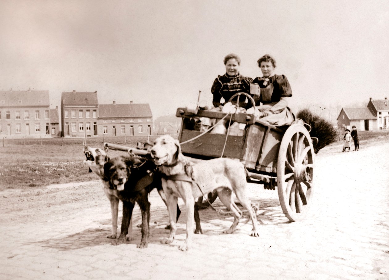 Koirat vetävät naisia kärryissä, Antwerpen, 1898. tekijältä James Batkin
