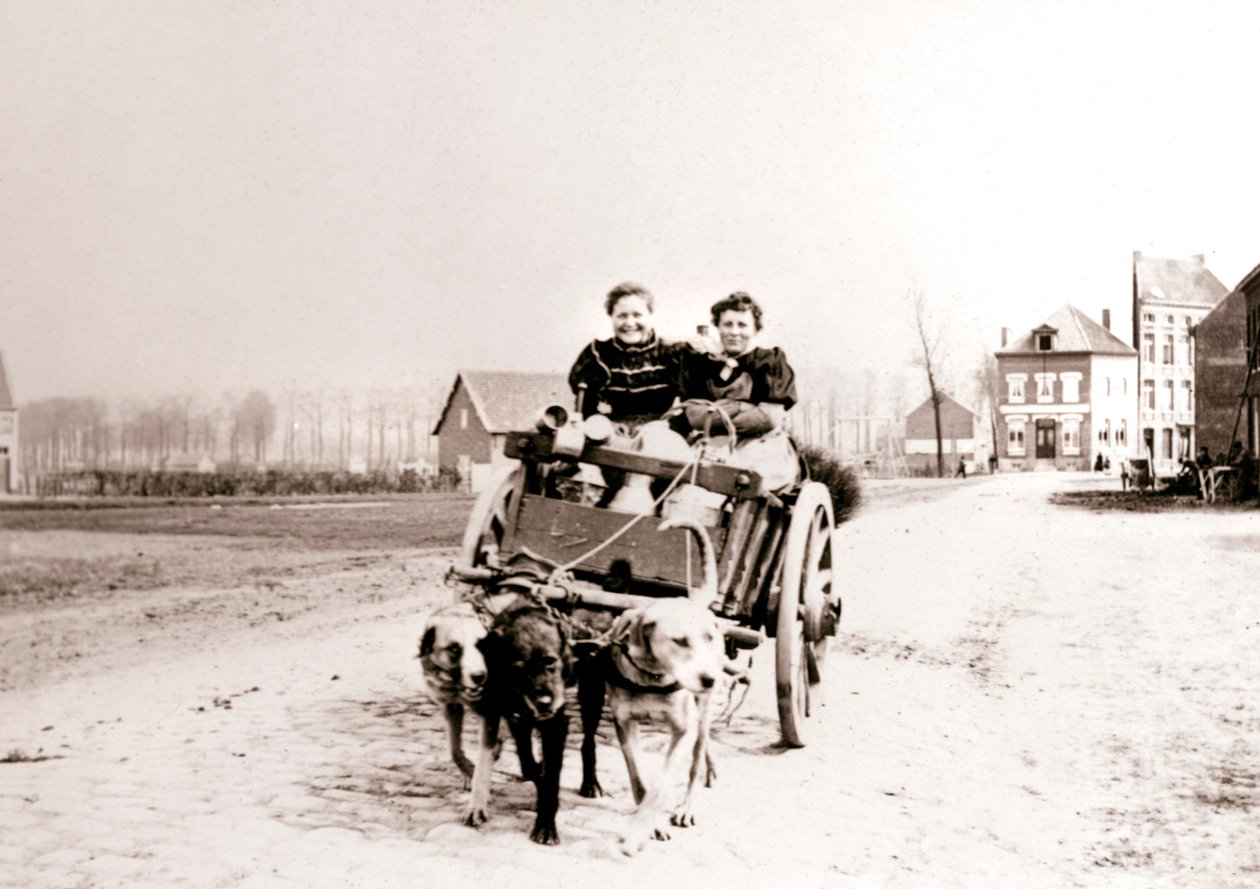 Koirat vetävät naisia kärryissä, Antwerpen, 1898. tekijältä James Batkin