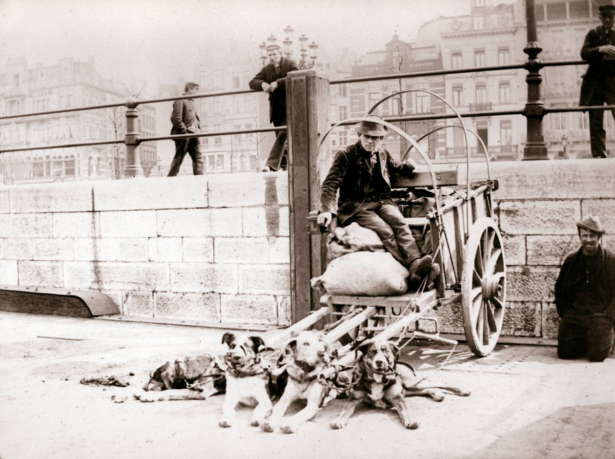 Mies koirakärryillä, Antwerpen, 1898. tekijältä James Batkin