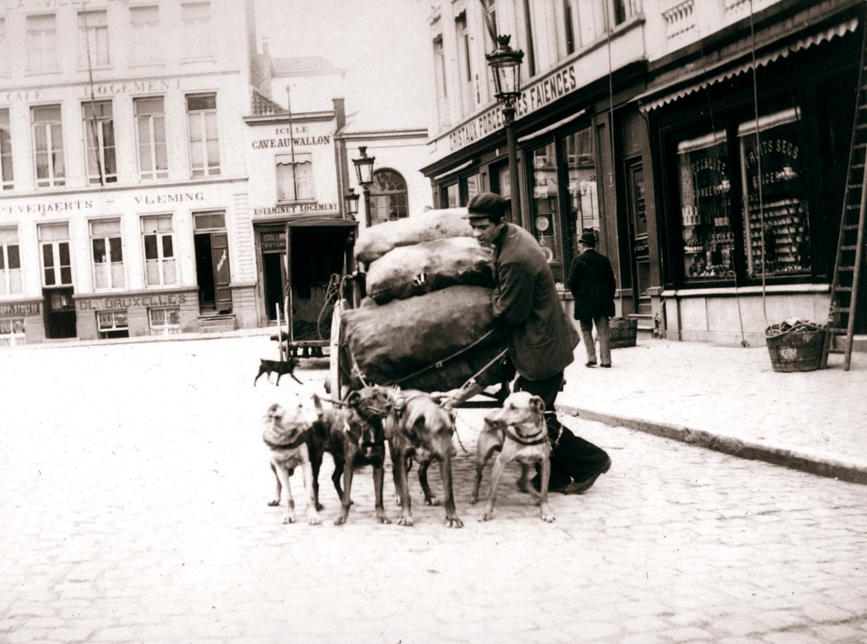 Mies koirakärryillä, Antwerpen, 1898 tekijältä James Batkin