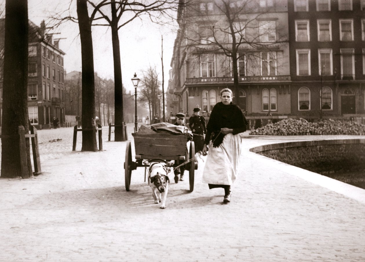 Nainen koirakärryillä, Rotterdam, 1898. tekijältä James Batkin
