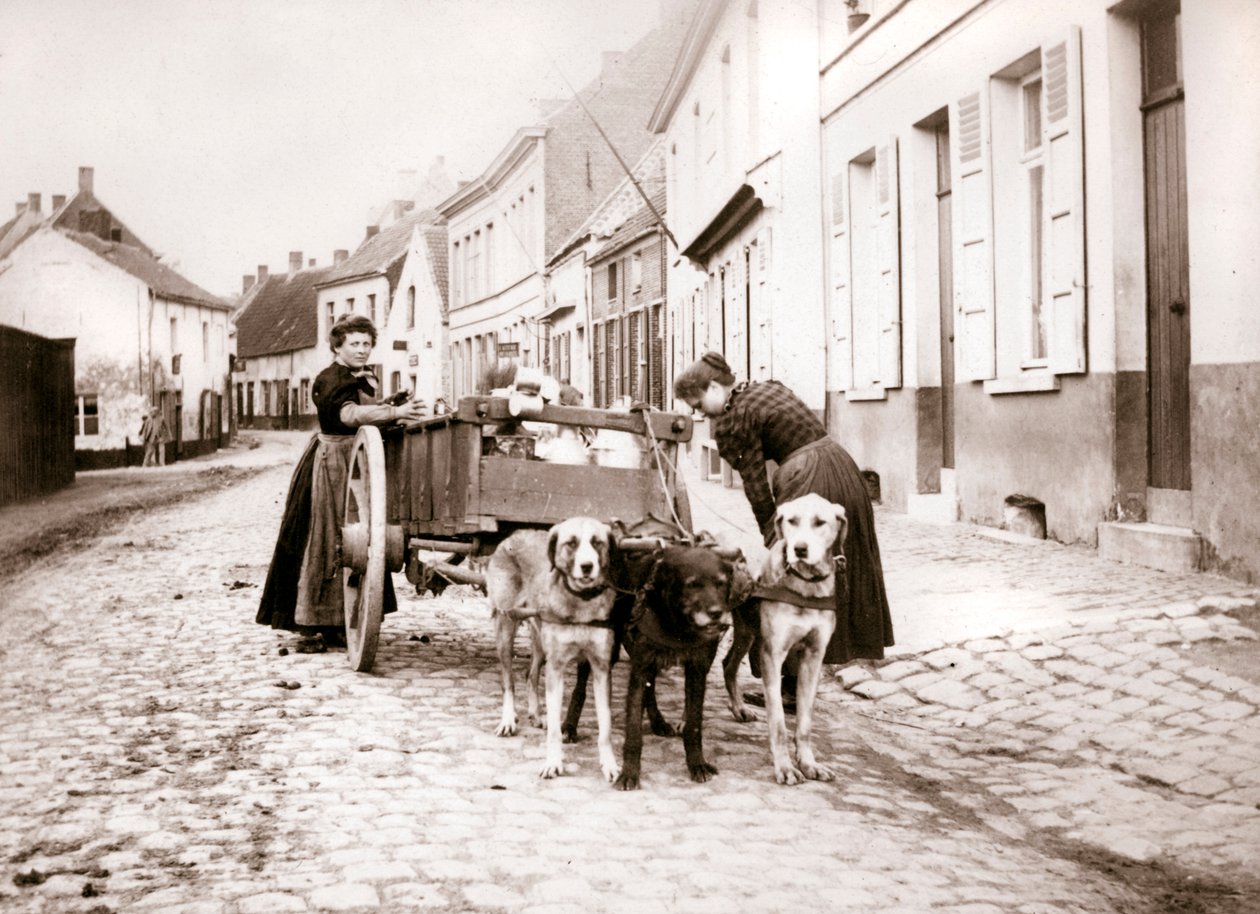Naiset ja koirakärryt, Antwerpen, 1898 tekijältä James Batkin
