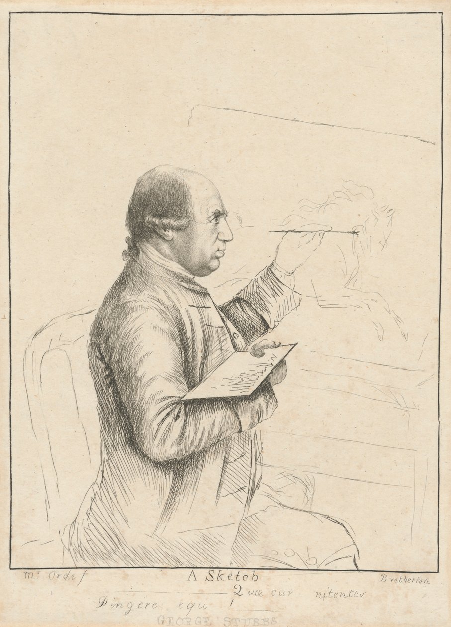 George Stubbs: Luonnos tekijältä James Bretherton