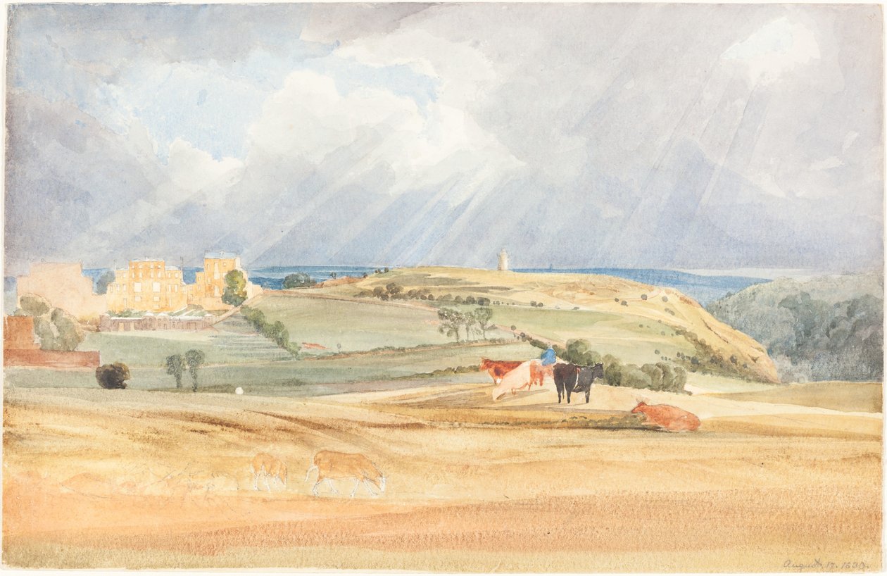 Maisema karjan kanssa (Somerset?) tekijältä James Bulwer