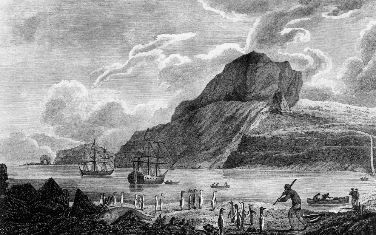 Kerguelenin saari, näkymä Christmas Baylle, piirustus William Hodges, kaiverrus William Watts, kuvitus Matkasta etelänavalle ja Round World, James Cook (1728-1779), painos julkaistiin Pariisissa vuonna 1778 tekijältä James Cook