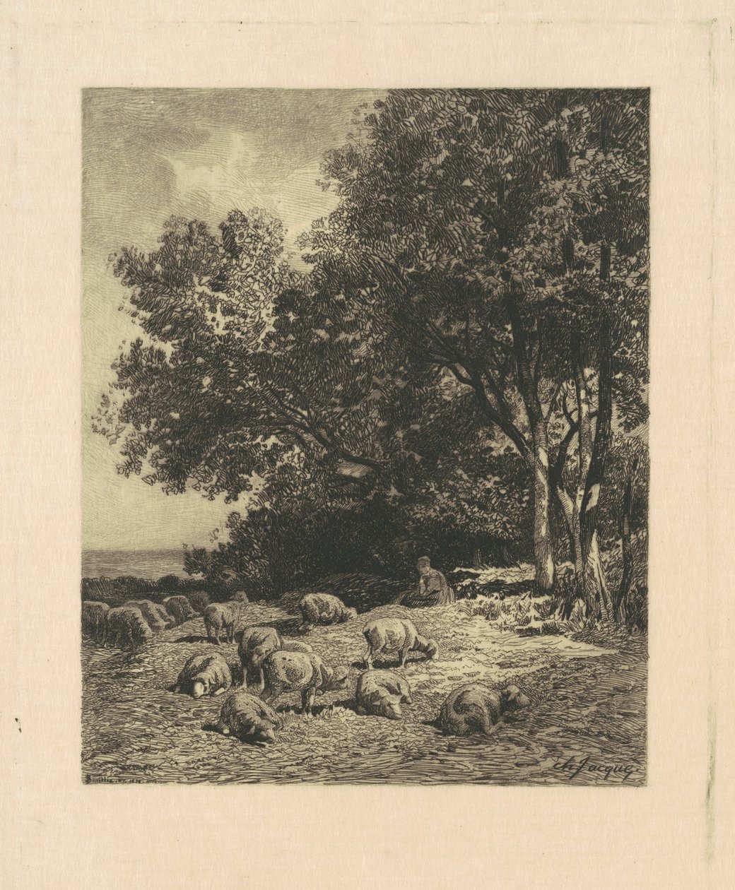 Maisema lampaiden kanssa tekijältä James David Smillie, after Charles Émile Jacque