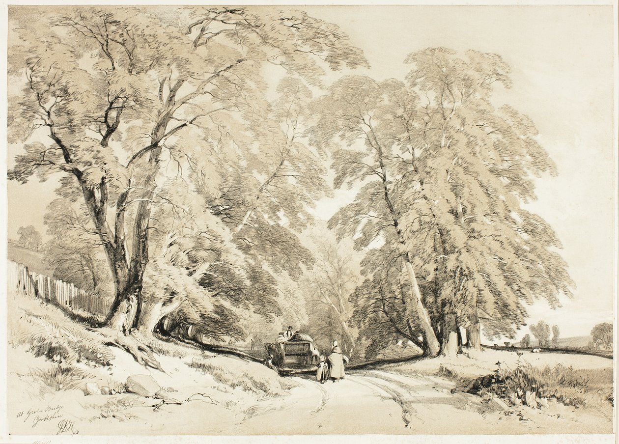 Ash, puistosta ja metsästä tekijältä James Duffield Harding