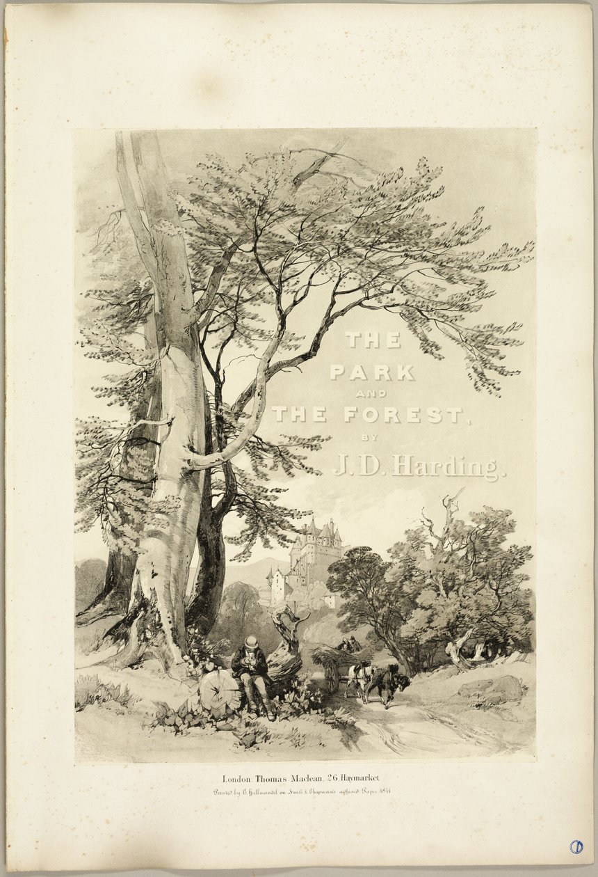 Pyökki ja tammi (Frontispiece), puistosta ja metsästä tekijältä James Duffield Harding