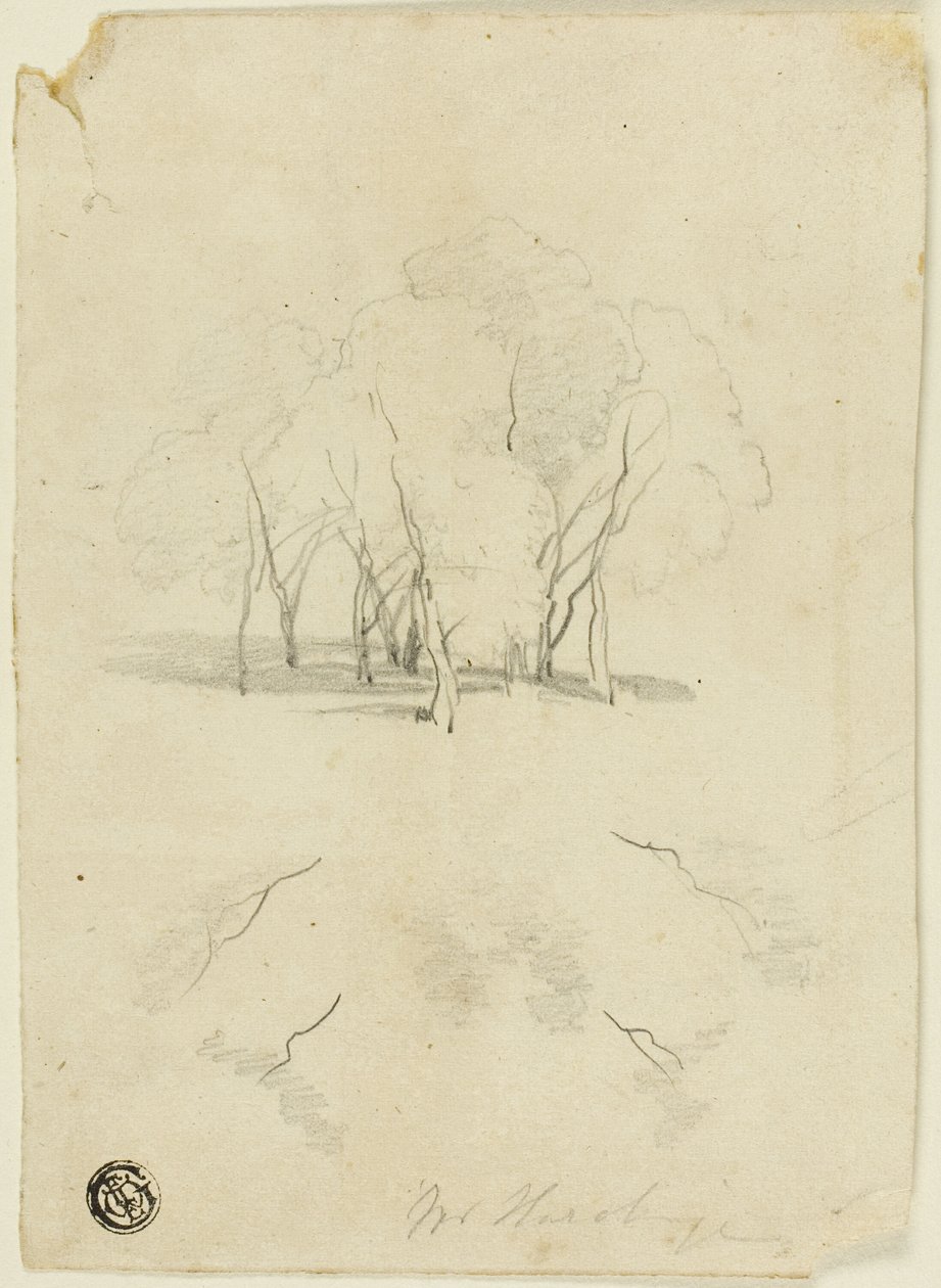 Puuryhmasto tekijältä James Duffield Harding