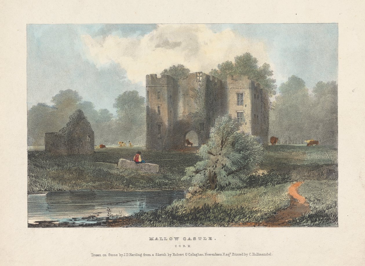 Mallow Castle tekijältä James Duffield Harding