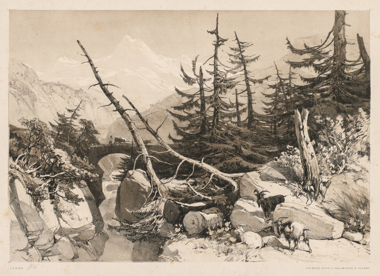 Pine Trees and Bridge, 1841. tekijältä James Duffield Harding